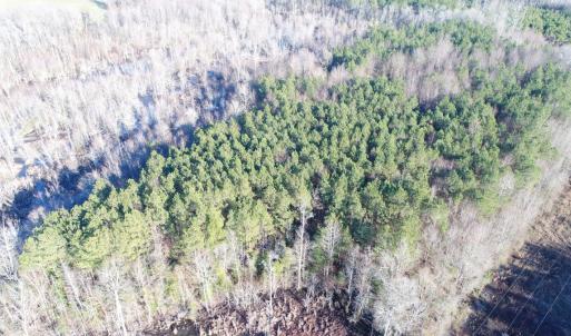 Photo #8 of SOLD property in Off Cattail Road, Elm City, NC 44.9 acres