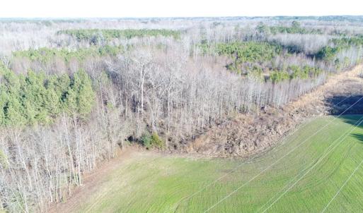 Photo #9 of SOLD property in Off Cattail Road, Elm City, NC 44.9 acres