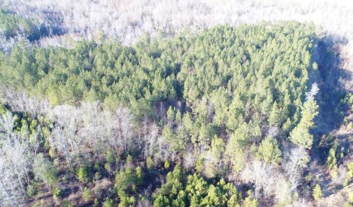 Photo #10 of SOLD property in Off Cattail Road, Elm City, NC 44.9 acres