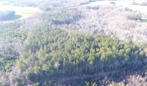 Photo #11 of SOLD property in Off Cattail Road, Elm City, NC 44.9 acres