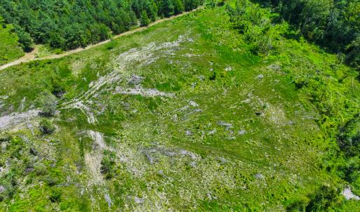 Photo #8 of SOLD property in Off NC Hwy 62 N, Burlington, NC 11.4 acres
