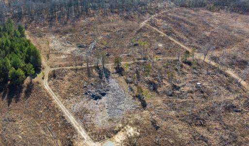 Photo #11 of SOLD property in Off NC Hwy 62 N, Burlington, NC 11.4 acres