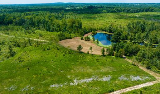 Photo #5 of SOLD property in Off NC Hwy 62 N, Burlington, NC 10.9 acres