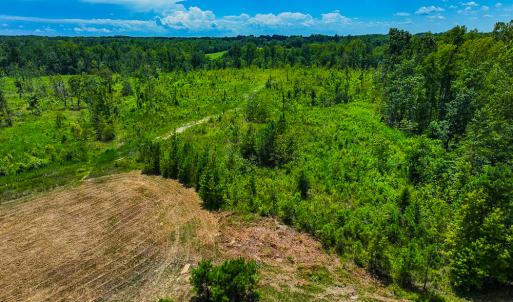 Photo #30 of SOLD property in Off NC Hwy 62 N, Burlington, NC 10.9 acres