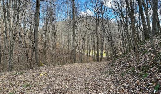 Photo #10 of SOLD property in Off Schultz Hollow Rd, Bluefield, VA 10.2 acres