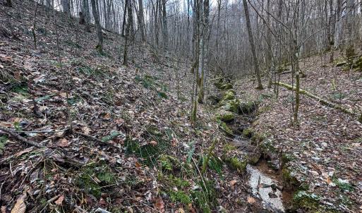 Photo #11 of SOLD property in Off Schultz Hollow Rd, Bluefield, VA 10.2 acres