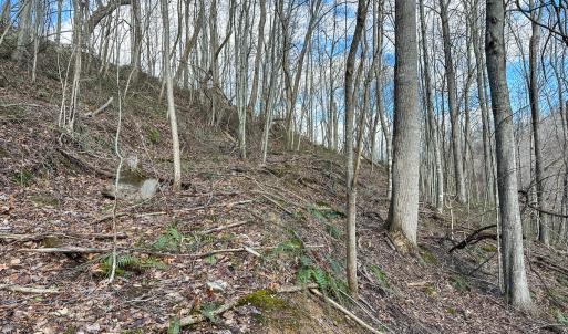 Photo #12 of Off Schultz Hollow Rd, Bluefield, VA 10.2 acres