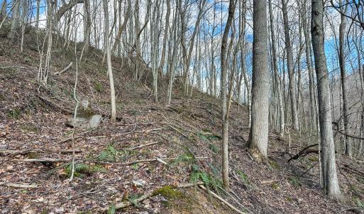 Photo #12 of SOLD property in Off Schultz Hollow Rd, Bluefield, VA 10.2 acres