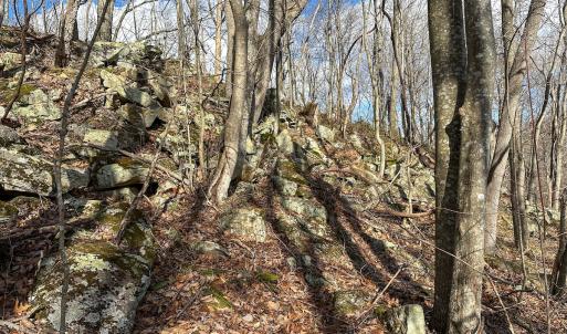 Photo #13 of Off Schultz Hollow Rd, Bluefield, VA 10.2 acres