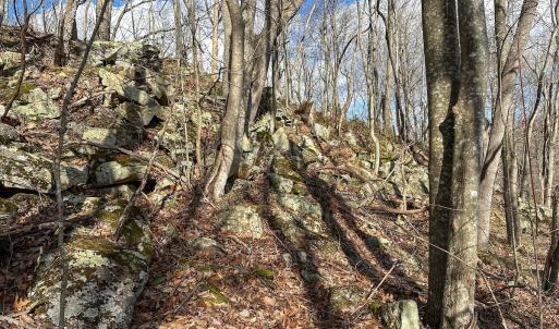 Photo #13 of SOLD property in Off Schultz Hollow Rd, Bluefield, VA 10.2 acres