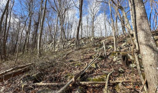 Photo #14 of SOLD property in Off Schultz Hollow Rd, Bluefield, VA 10.2 acres