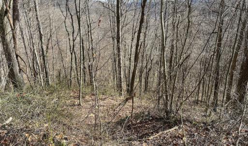Photo #15 of SOLD property in Off Schultz Hollow Rd, Bluefield, VA 10.2 acres