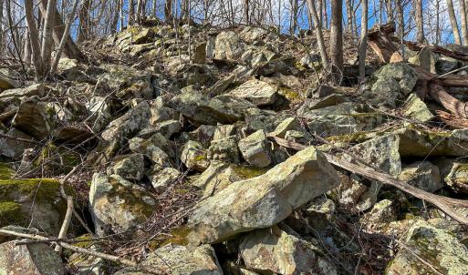 Photo #16 of SOLD property in Off Schultz Hollow Rd, Bluefield, VA 10.2 acres