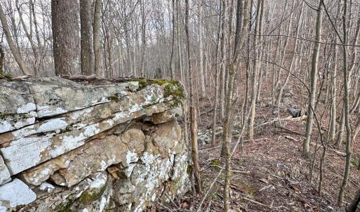 Photo #17 of SOLD property in Off Schultz Hollow Rd, Bluefield, VA 10.2 acres