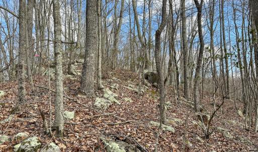 Photo #18 of SOLD property in Off Schultz Hollow Rd, Bluefield, VA 10.2 acres