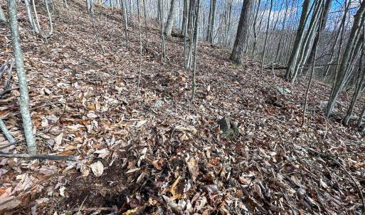 Photo #19 of SOLD property in Off Schultz Hollow Rd, Bluefield, VA 10.2 acres