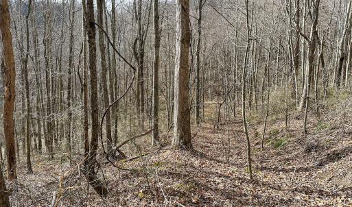 Photo #20 of SOLD property in Off Schultz Hollow Rd, Bluefield, VA 10.2 acres