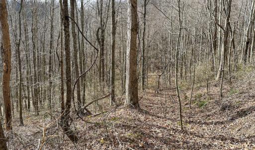 Photo #20 of Off Schultz Hollow Rd, Bluefield, VA 10.2 acres