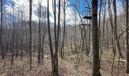 Photo #21 of SOLD property in Off Schultz Hollow Rd, Bluefield, VA 10.2 acres