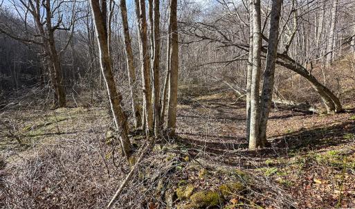 Photo #23 of SOLD property in Off Schultz Hollow Rd, Bluefield, VA 10.2 acres