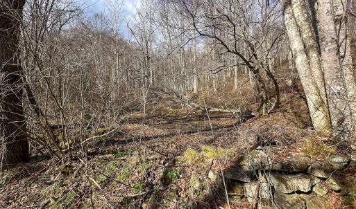 Photo #24 of SOLD property in Off Schultz Hollow Rd, Bluefield, VA 10.2 acres