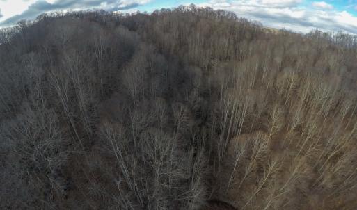 Photo #4 of SOLD property in Off Schultz Hollow Rd, Bluefield, VA 10.2 acres
