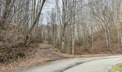 Photo #6 of SOLD property in Off Schultz Hollow Rd, Bluefield, VA 10.2 acres