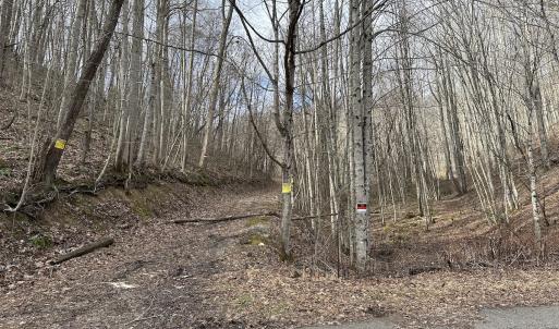 Photo #7 of SOLD property in Off Schultz Hollow Rd, Bluefield, VA 10.2 acres