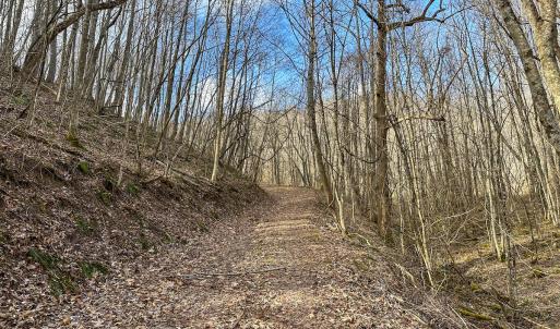 Photo #8 of SOLD property in Off Schultz Hollow Rd, Bluefield, VA 10.2 acres