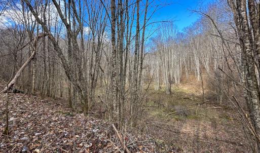 Photo #9 of SOLD property in Off Schultz Hollow Rd, Bluefield, VA 10.2 acres