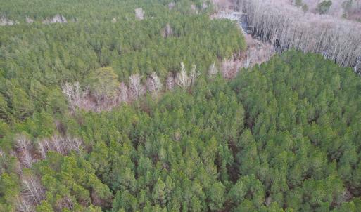 Photo #12 of SOLD property in Off Golden Hill Rd, Elberon, VA 100.0 acres