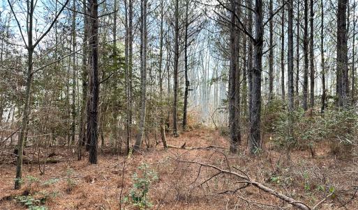 Photo #13 of SOLD property in Off Golden Hill Rd, Elberon, VA 100.0 acres