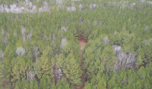 Photo #16 of SOLD property in Off Golden Hill Rd, Elberon, VA 100.0 acres