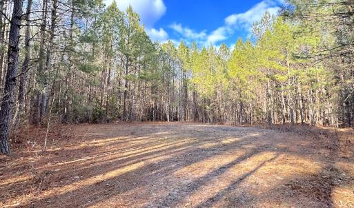 Photo #17 of SOLD property in Off Golden Hill Rd, Elberon, VA 100.0 acres