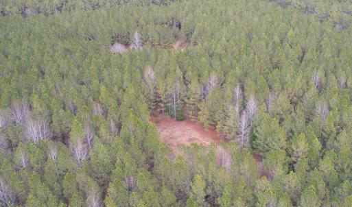 Photo #18 of SOLD property in Off Golden Hill Rd, Elberon, VA 100.0 acres