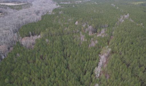 Photo #2 of SOLD property in Off Golden Hill Rd, Elberon, VA 100.0 acres