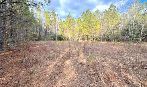 Photo #20 of SOLD property in Off Golden Hill Rd, Elberon, VA 100.0 acres