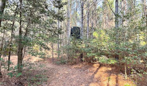 Photo #28 of SOLD property in Off Golden Hill Rd, Elberon, VA 100.0 acres