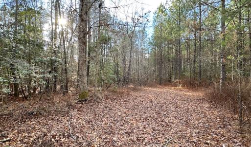 Photo #29 of SOLD property in Off Golden Hill Rd, Elberon, VA 100.0 acres