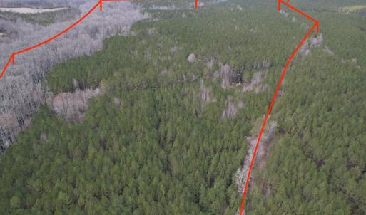 Photo #3 of SOLD property in Off Golden Hill Rd, Elberon, VA 100.0 acres