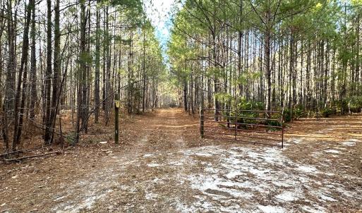 Photo #32 of SOLD property in Off Golden Hill Rd, Elberon, VA 100.0 acres