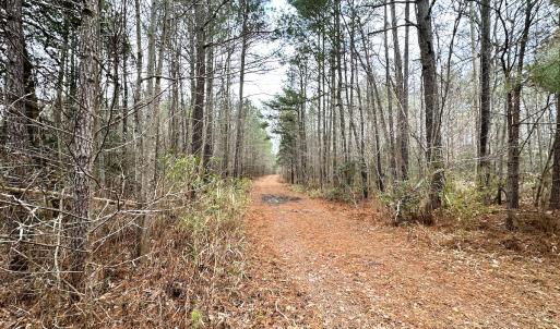 Photo #33 of SOLD property in Off Golden Hill Rd, Elberon, VA 100.0 acres