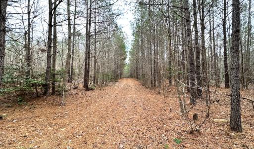 Photo #34 of SOLD property in Off Golden Hill Rd, Elberon, VA 100.0 acres