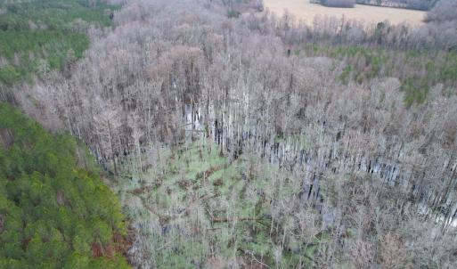 Photo #8 of SOLD property in Off Golden Hill Rd, Elberon, VA 100.0 acres