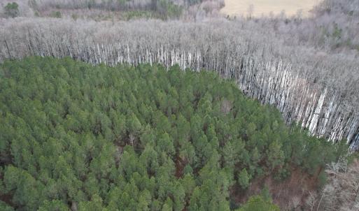 Photo #9 of SOLD property in Off Golden Hill Rd, Elberon, VA 100.0 acres