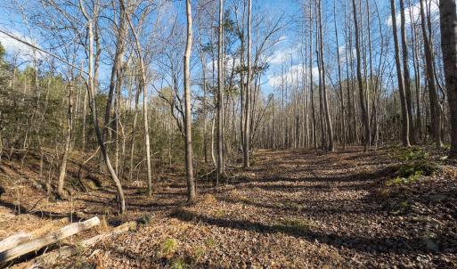Photo #6 of Off Campbell Road, Bear Creek, NC 13.3 acres