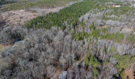 Photo #10 of Off Campbell Road, Bear Creek, NC 13.3 acres
