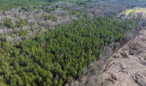 Photo #12 of Off Campbell Road, Bear Creek, NC 13.3 acres