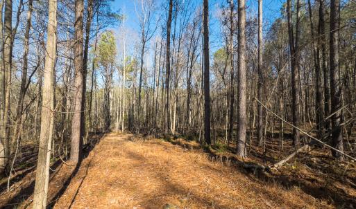 Photo #27 of Off Campbell Road, Bear Creek, NC 13.3 acres