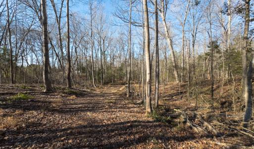 Photo #32 of Off Campbell Road, Bear Creek, NC 13.3 acres